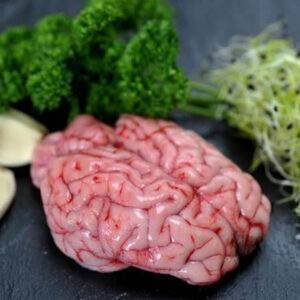 Goat brain